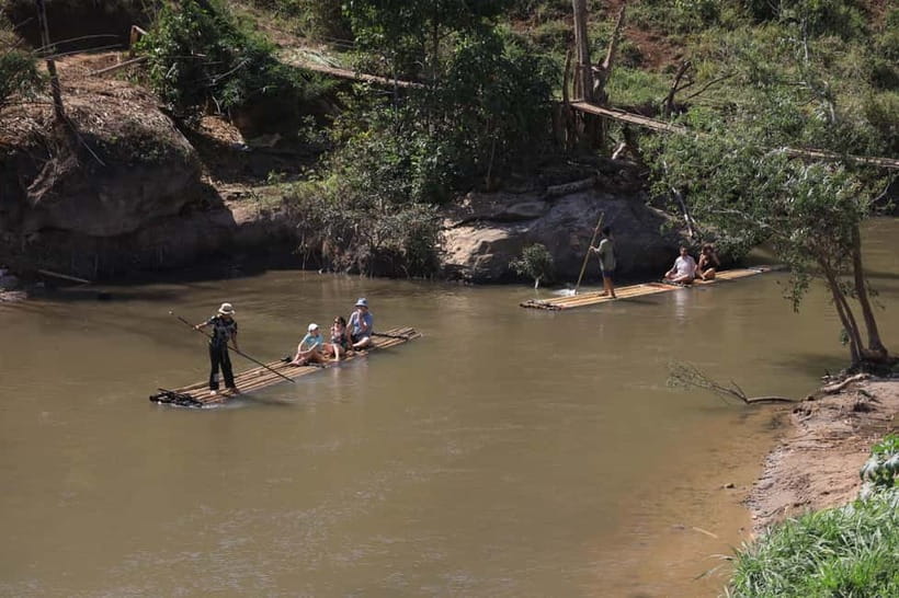 Chiang Mai: Elephant Sanctuary Bamboo Raft & Padthai Cooking - Ethical Standards and the Hard Questions