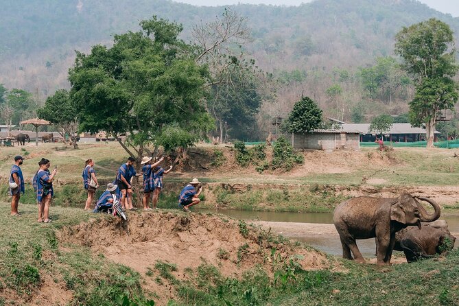 Chiang Mai Elephant Sanctuary, Bamboo Rafting and Waterfall Tour - What $58.70 really buys you