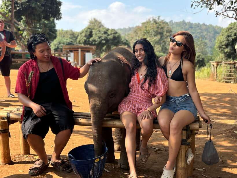 Chiang Mai: Elephant Sanctuary Feeding Program Half-Day Tour - At a Glance