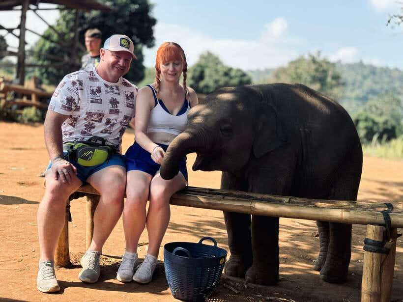 Chiang Mai: Elephant Sanctuary Feeding Program Half-Day Tour - Feeding Grass, Sugarcane, and Bananas