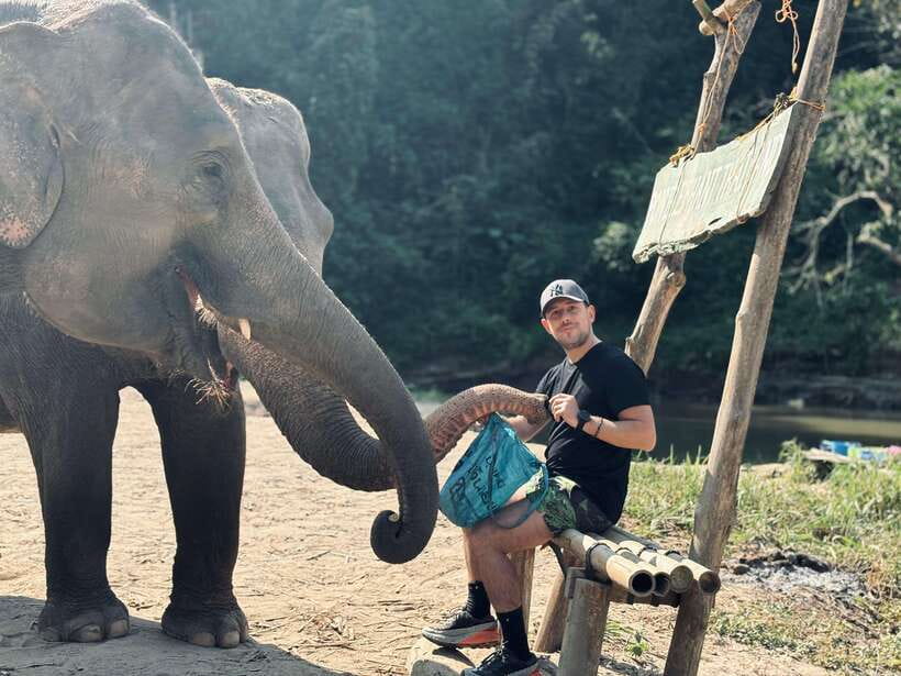 Chiang Mai: Elephant Sanctuary Feeding Program Half-Day Tour - How Ethical Is the Experience?