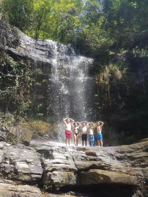 Chiang Mai: Elephant Sanctuary & Jungle Trek w/ Waterfall - Key points to know before you book