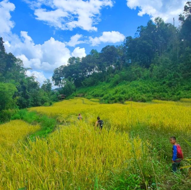 Chiang Mai: Elephant Sanctuary & Jungle Trek w/ Waterfall - A gentle hour on the Mae Wang River