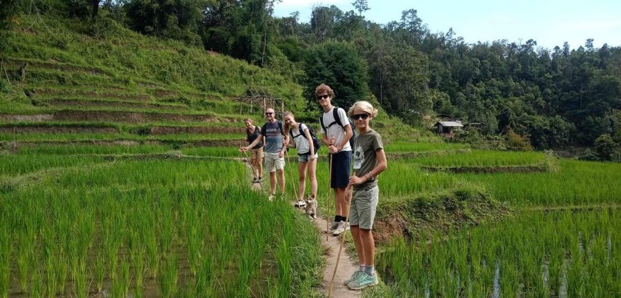 Chiang Mai: Elephant Sanctuary & Jungle Trek w/ Waterfall - Meeting rescued elephants at the care sanctuary
