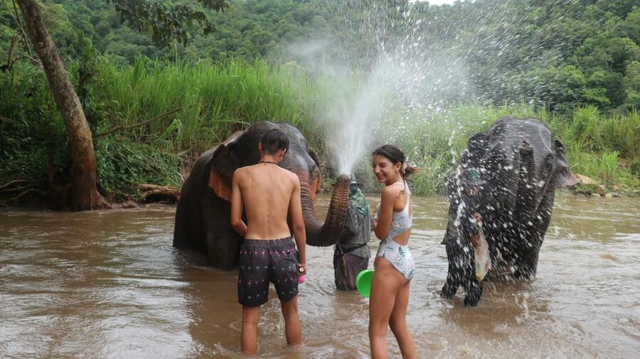 Chiang Mai: Elephant Sanctuary & Jungle Trek w/ Waterfall - The return ride and the shape of the day