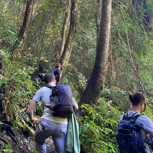 Chiang Mai: Elephant Sanctuary & Jungle Trek w/ Waterfall - What to pack for comfort