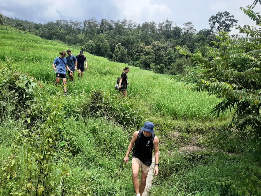 Chiang Mai: Elephant Sanctuary & Jungle Trek w/ Waterfall - From Chiang Mai to Mae Wang