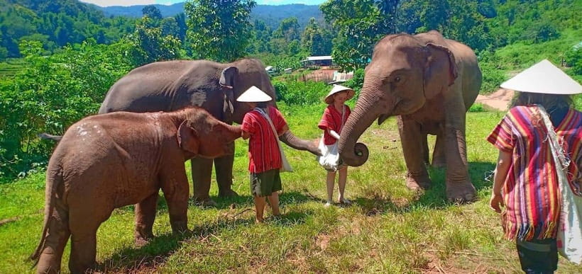 Chiang Mai: Elephant Sanctuary Local Hill Tribe Caretakers - Why this elephant visit feels different