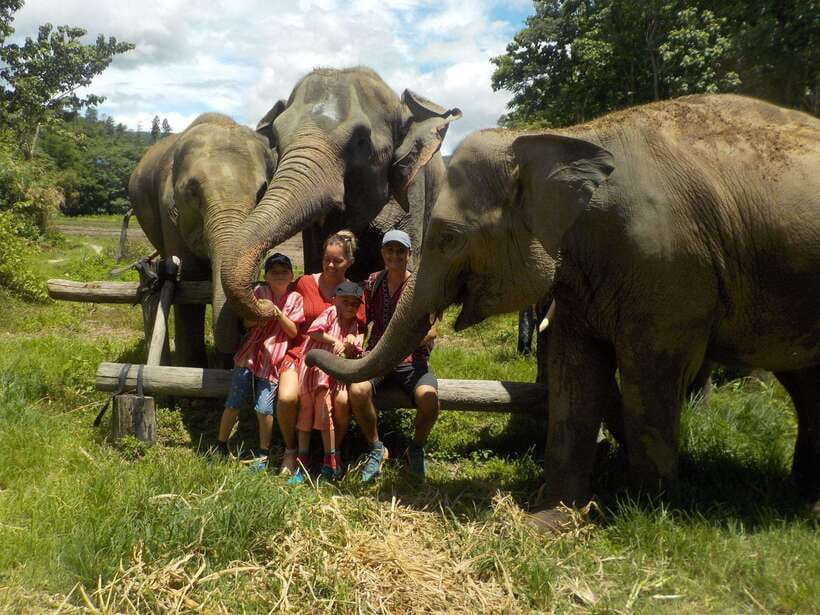 Chiang Mai: Elephant Sanctuary Local Hill Tribe Caretakers - Meeting the elephants at Johnny Boy