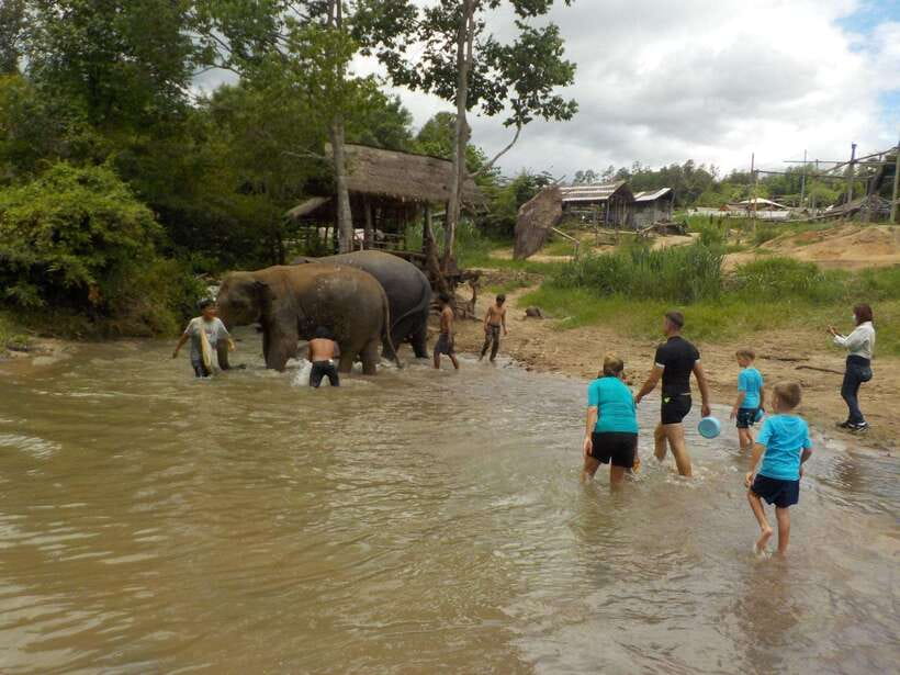Chiang Mai: Elephant Sanctuary Local Hill Tribe Caretakers - Lunch beside the sanctuary