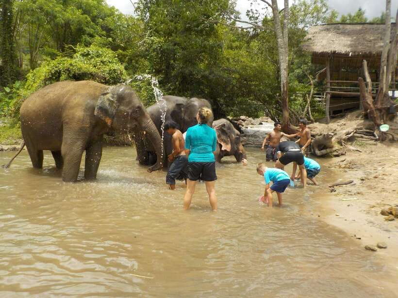 Chiang Mai: Elephant Sanctuary Local Hill Tribe Caretakers - Hiking for one hour to Mae Wang Waterfall