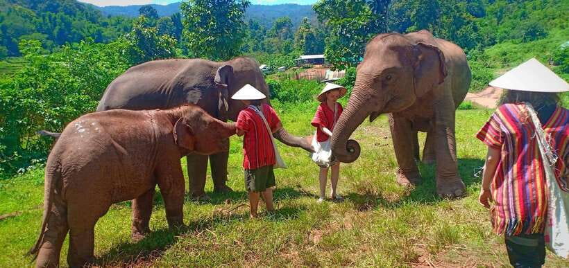 Chiang Mai: Elephant Sanctuary Local Hill Tribe Caretakers - Is four hours enough?