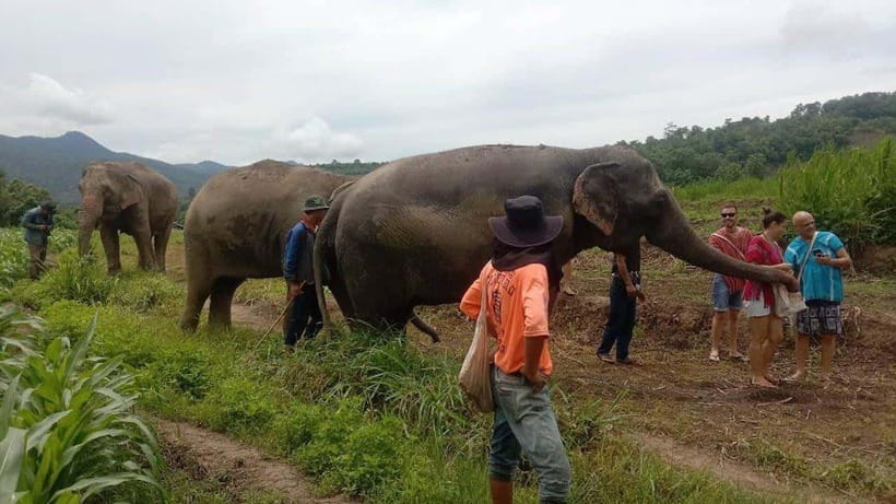 Chiang Mai: Elephant Sanctuary Local Hill Tribe Caretakers - Leaving Chiang Mai for the sanctuary