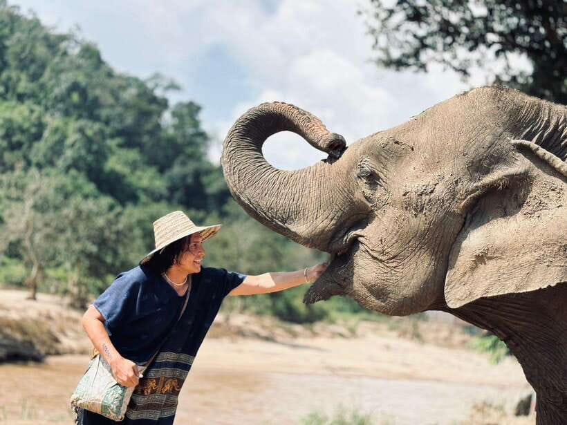 Chiang Mai: Elephant Sanctuary, Long Neck & Sticky Waterfall - Key points to know before booking