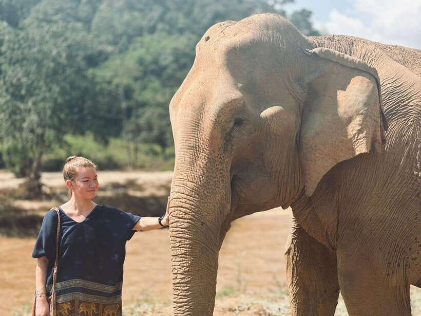 Chiang Mai: Elephant Sanctuary, Long Neck & Sticky Waterfall - A full day outside Chiang Mai
