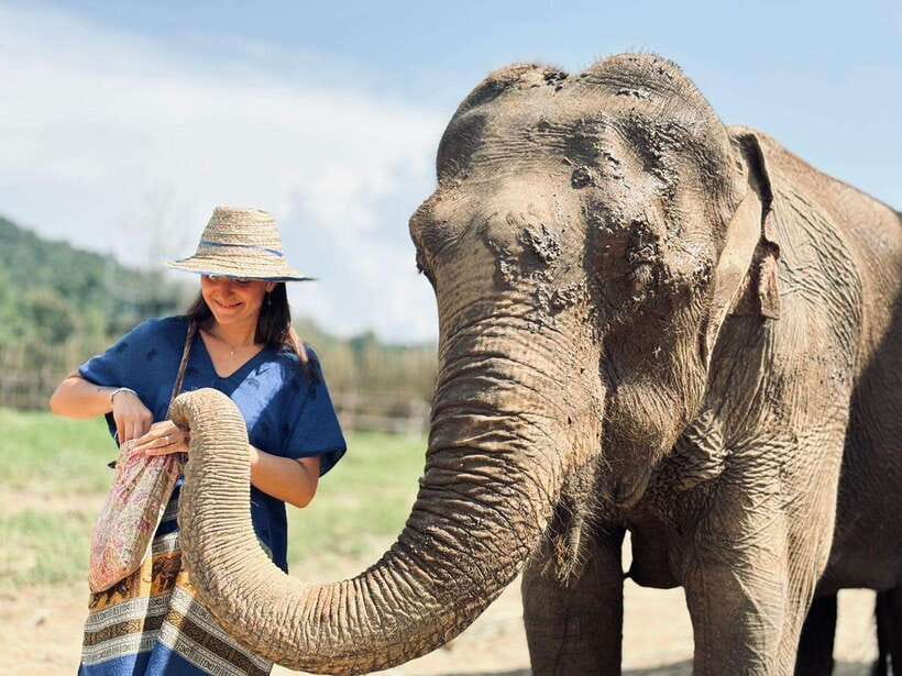 Chiang Mai: Elephant Sanctuary, Long Neck & Sticky Waterfall - Climbing Buatong Sticky Waterfall