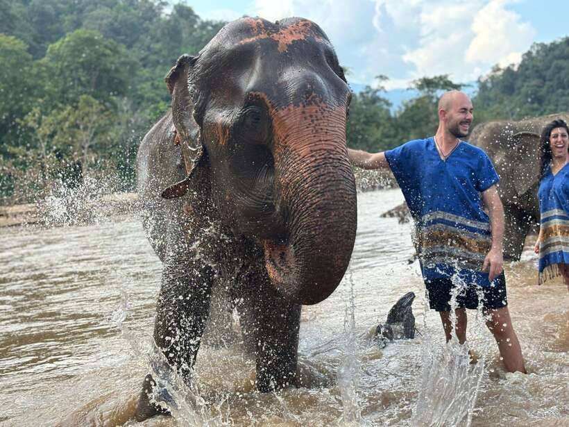 Chiang Mai: Elephant Sanctuary, Long Neck & Sticky Waterfall - What the $63 price really covers