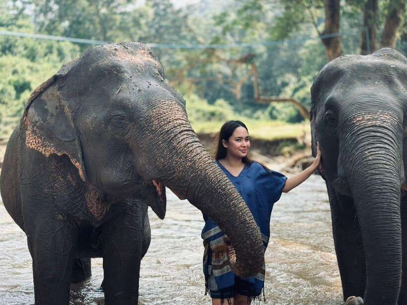 Chiang Mai: Elephant Sanctuary, Long Neck & Sticky Waterfall - Preparing food for the elephants