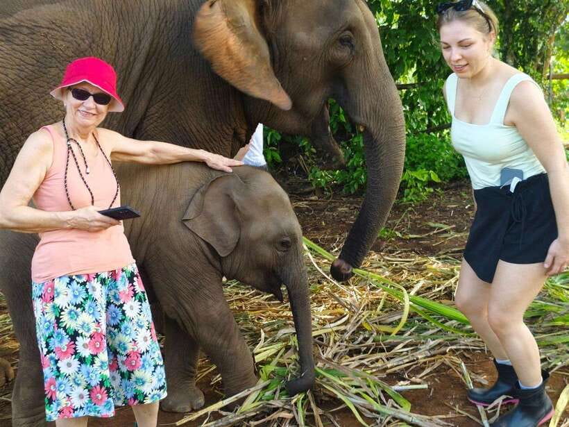 Chiang Mai: Elephant Sanctuary, Monk Trail & Doi Suthep Tour - Visiting Doi Suthep above Chiang Mai