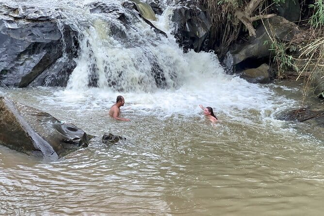 Chiang Mai Elephant Sanctuary Observation and Bamboo Rafting - Why this day works so well outside Chiang Mai
