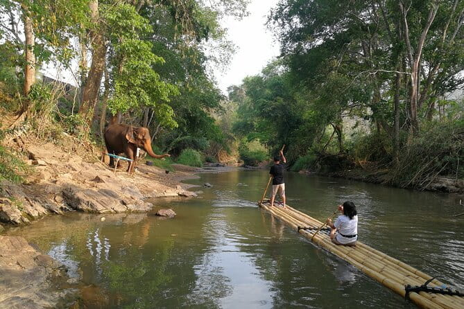 Chiang Mai Elephant Sanctuary Observation and Bamboo Rafting - Waterfall time, herbal tea, and a Thai keepsake