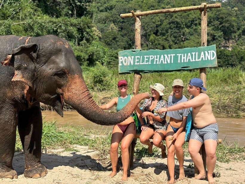 Chiang Mai: Elephant Sanctuary, Waterfall & Bamboo Rafting - Key things to know before booking
