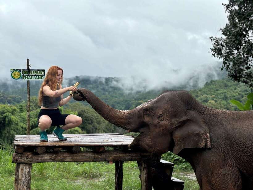Chiang Mai: Elephant Sanctuary, Waterfall & Bamboo Rafting - Thai lunch and the elephant food lesson