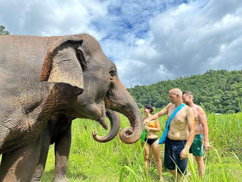 Chiang Mai: Elephant Sanctuary, Waterfall & Bamboo Rafting - The guides make a real difference