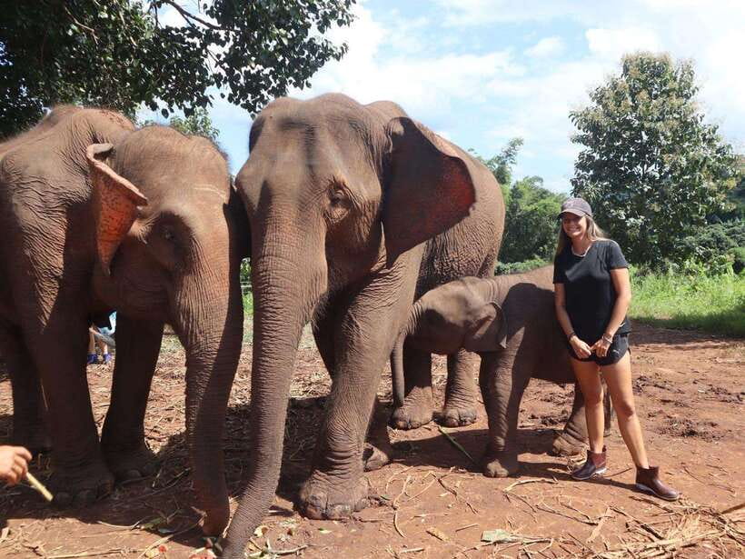 Chiang Mai: Elephant Sanctuary & Waterfall Group Tour - Key things to know before booking
