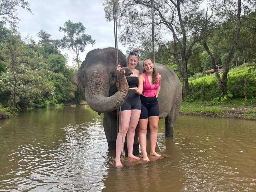 Chiang Mai: Elephant Sanctuary & Waterfall Group Tour - Why the guide can make or break the visit