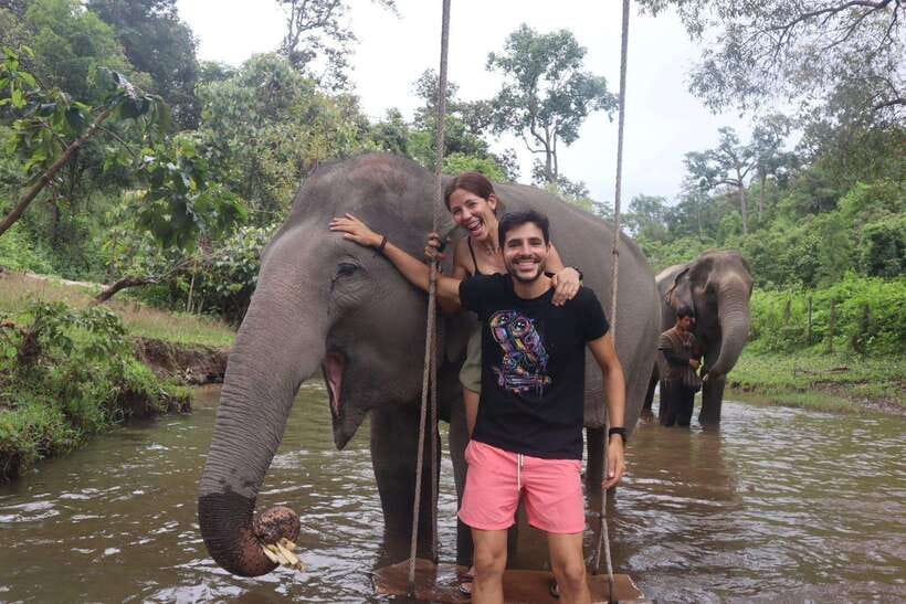 Chiang Mai: Elephant Sanctuary & Waterfall Group Tour - Walking, feeding, and watching natural behavior