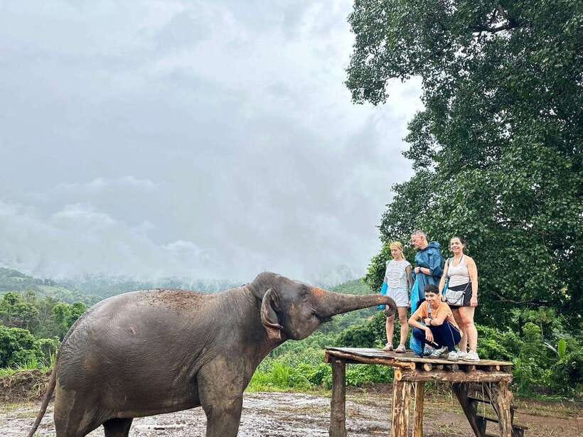 Chiang Mai: Elephant Sanctuary & Waterfall Group Tour - Thai lunch, fruit, and local hospitality