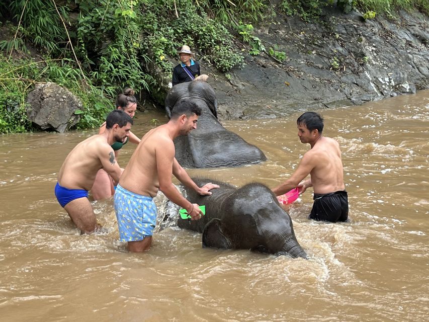 Chiang Mai: Elephant Sanctuary & Waterfall Group Tour - Hiking to Mae Wang Waterfall