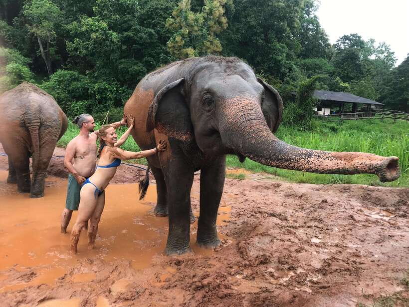 Chiang Mai: Elephant Sanctuary & Waterfall Group Tour - Is $50 a fair price?