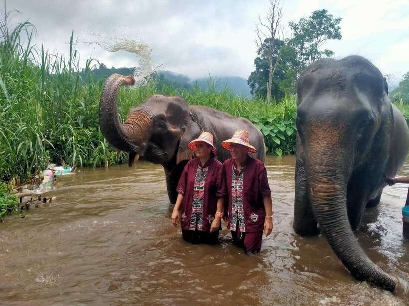 Chiang Mai: Elephants, Sticky Waterfalls, Market and Temple - The local market and Northern Thai food culture