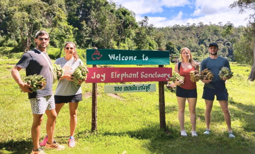 Chiang Mai: Ethical Half Day Elephant Sanctuary & Waterfall - Why the elephant program feels genuinely respectful