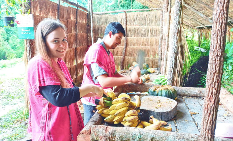 Chiang Mai: Ethical Half Day Elephant Sanctuary & Waterfall - Feeding the elephants and learning the ground rules