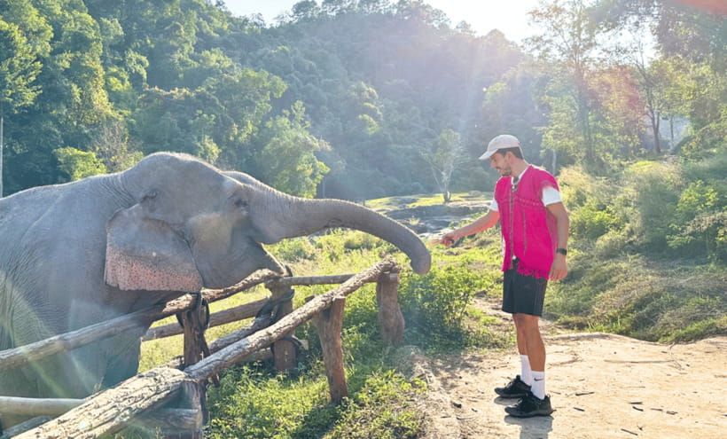 Chiang Mai: Ethical Half Day Elephant Sanctuary & Waterfall - A waterfall break, without elephant bathing