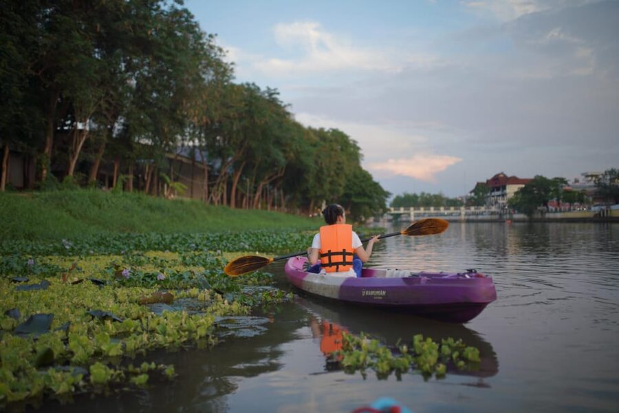 Chiang Mai:Explore kayaking through Mae Ping River on sunset - Two hours on the water, with birds and bridges