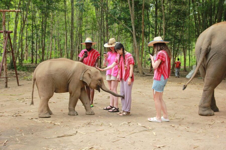 Chiang Mai: Full-Day Kerchor Elephant Eco Park Tour & Trek - Key points to know before you book