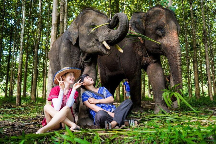 Chiang Mai: Full-Day Kerchor Elephant Eco Park Tour & Trek - Thai lunch with a view of the park