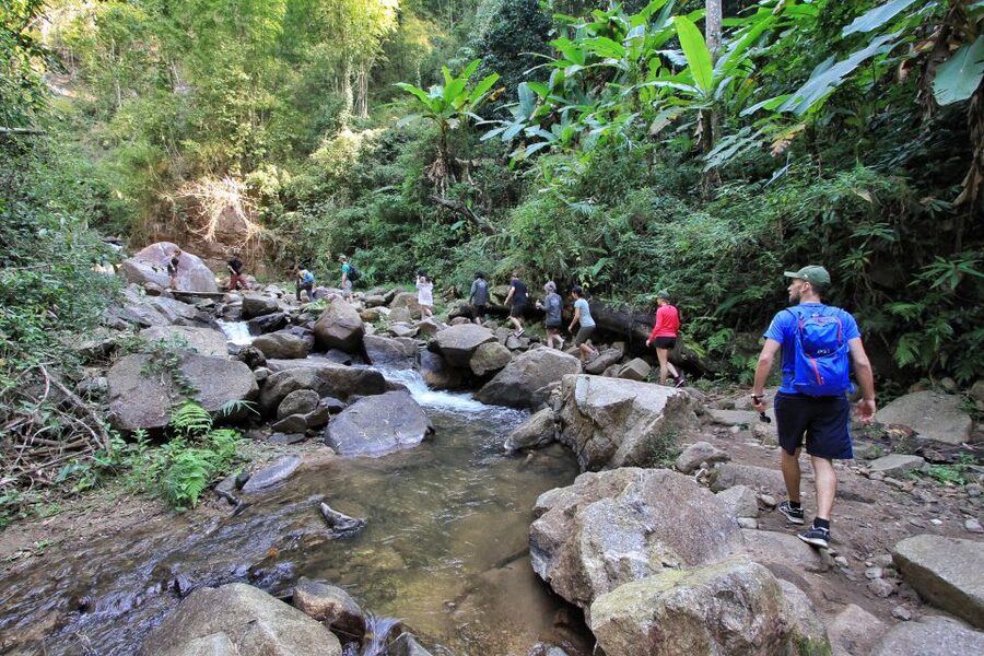 Chiang Mai: Guided Jungle and Waterfall Trek with Transfer - Who will enjoy this six-hour trip