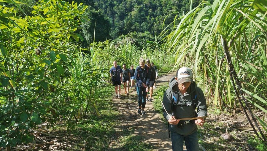 Chiang Mai: Guided Jungle and Waterfall Trek with Transfer - Booking details worth knowing