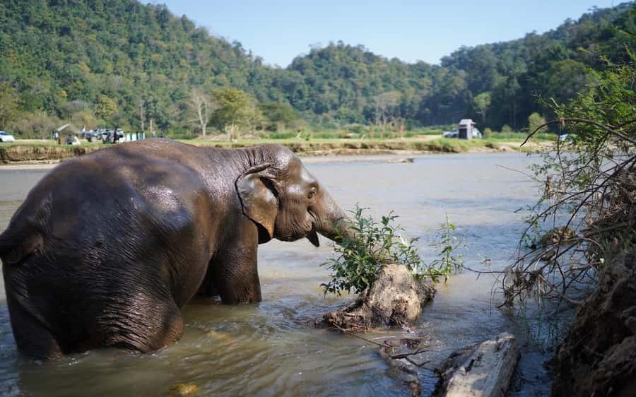 Chiang Mai Half-Day Adventure: River Tubing & Waterfall - The Saa Gee waterfall slide and forest pools