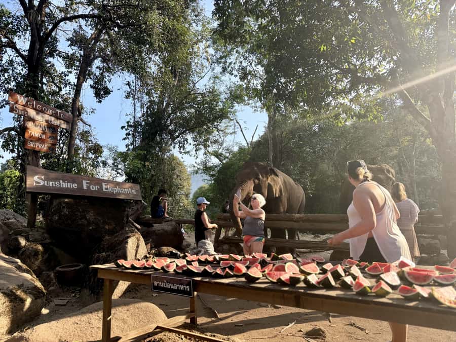 Chiang Mai Half-Day Adventure: River Tubing & Waterfall - Private villa upgrade for more comfort