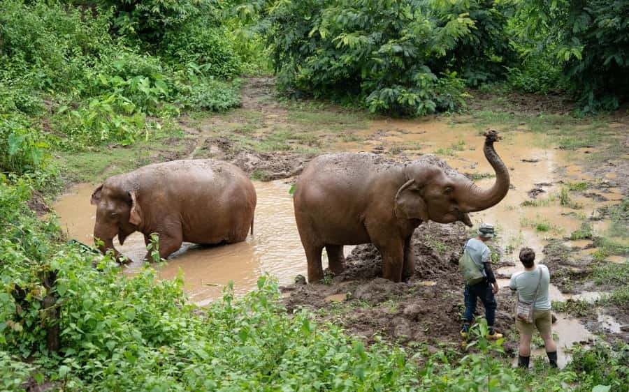 Chiang Mai Half-Day Adventure: River Tubing & Waterfall - How good is the $62 value?