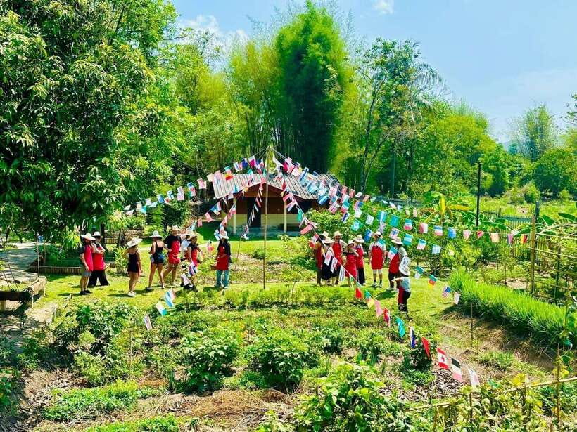 Chiang Mai: Half Day Cooking Class at Organic Farm - Choosing between the city garden and the outside farm