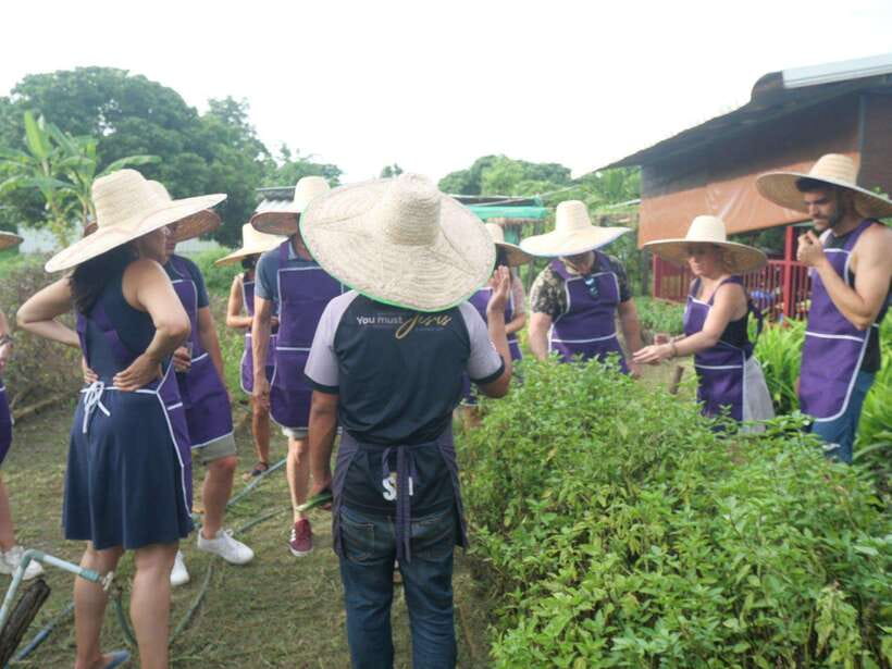 Chiang Mai: Half Day Cooking Class at Organic Farm - Recipes, photos, and value at $31