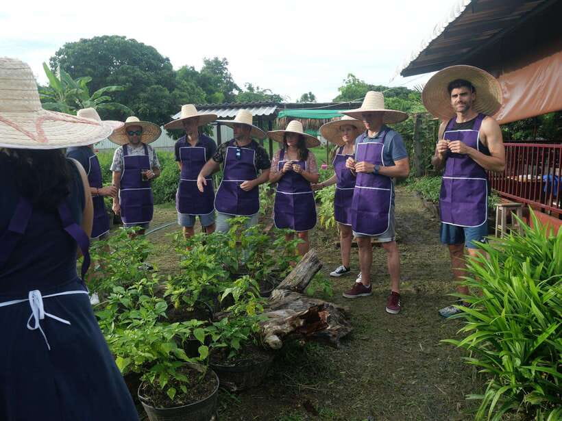 Chiang Mai: Half Day Cooking Class at Organic Farm - Starting at a Chiang Mai local market