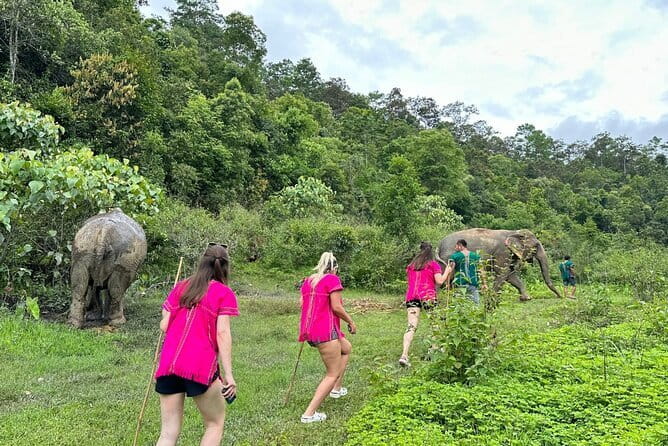 Chiang Mai Half Day Elephant Sanctuary Observation and Waterfall - The long road into the northern hills